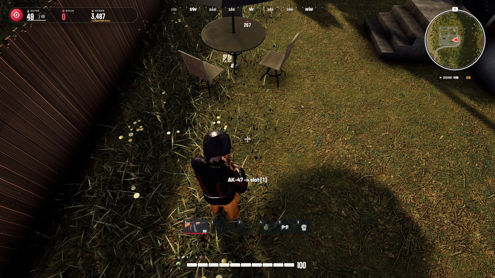 Looting a back yard in town