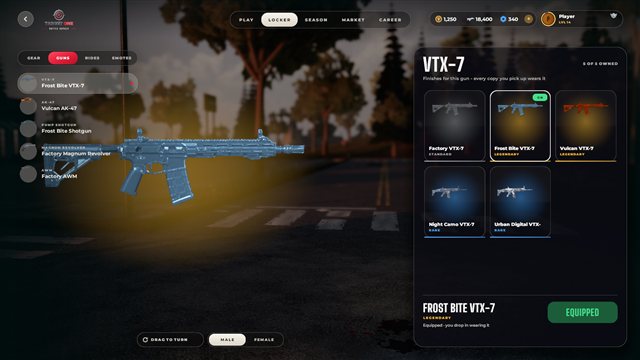 Weapon locker